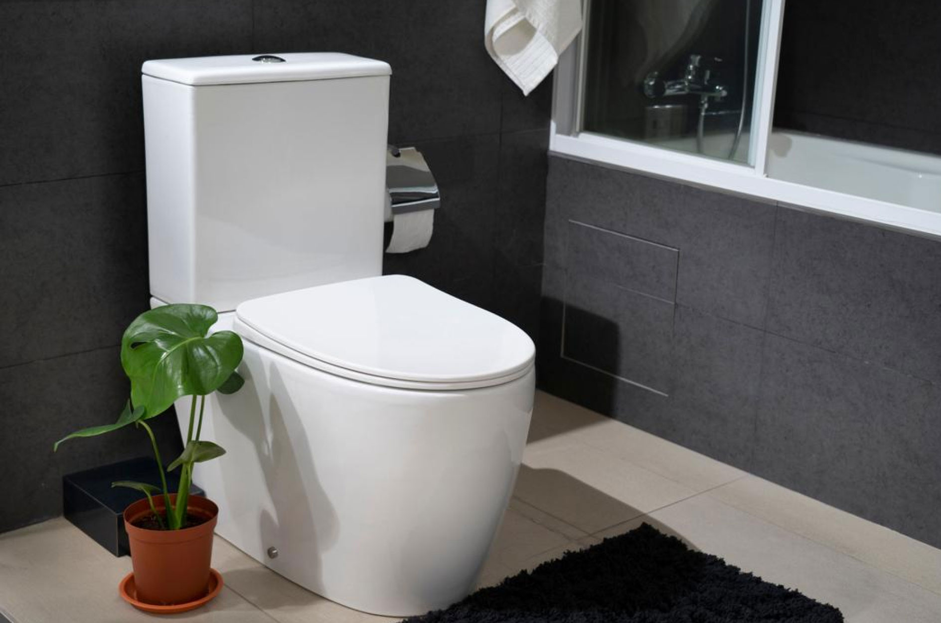 The Throne of Comfort Why Getting a Good Toilet Bowl is Essential